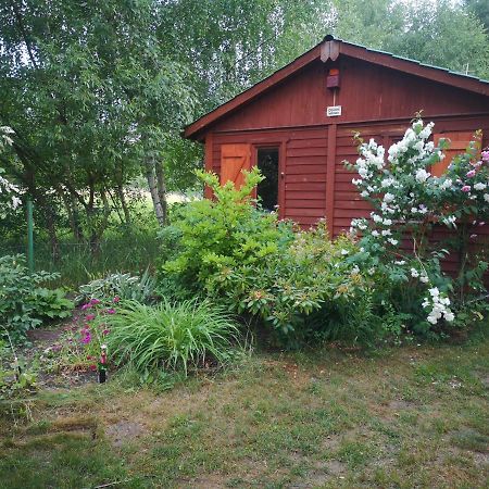 Domki Domek Na Jeziorem Wilczynskim Budzislawskim , Las, Osobno Ogrodzony 2-6 Osob- Klimatyzacja, Ogrzewanie, 62-550 Zygmuntowo Gm Wilczyn Exterior foto