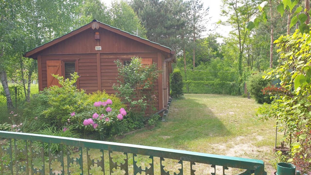 Domki Domek Na Jeziorem Wilczynskim Budzislawskim , Las, Osobno Ogrodzony 2-6 Osob- Klimatyzacja, Ogrzewanie, 62-550 Zygmuntowo Gm Wilczyn Exterior foto