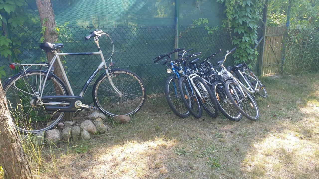 Domki Domek Na Jeziorem Wilczynskim Budzislawskim , Las, Osobno Ogrodzony 2-6 Osob- Klimatyzacja, Ogrzewanie, 62-550 Zygmuntowo Gm Wilczyn Exterior foto