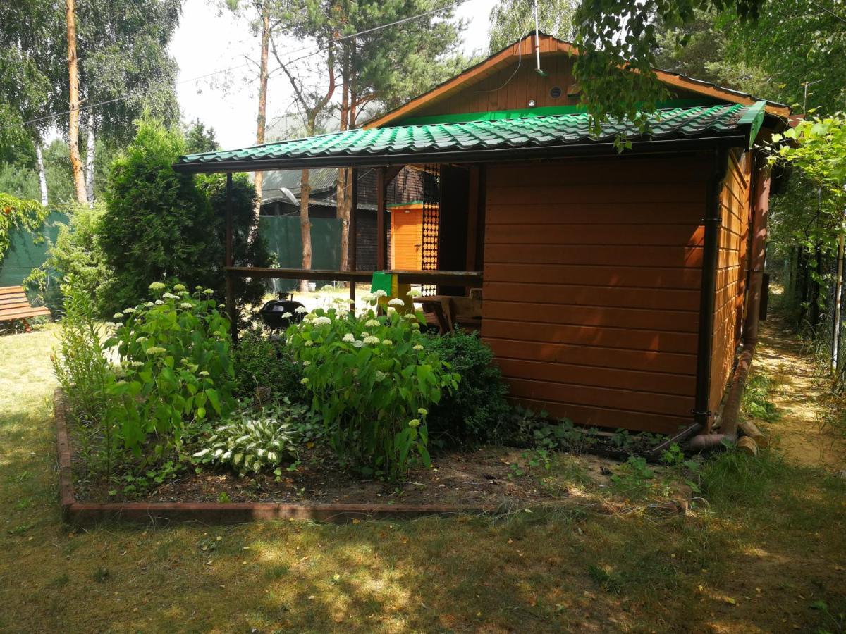 Domki Domek Na Jeziorem Wilczynskim Budzislawskim , Las, Osobno Ogrodzony 2-6 Osob- Klimatyzacja, Ogrzewanie, 62-550 Zygmuntowo Gm Wilczyn Exterior foto