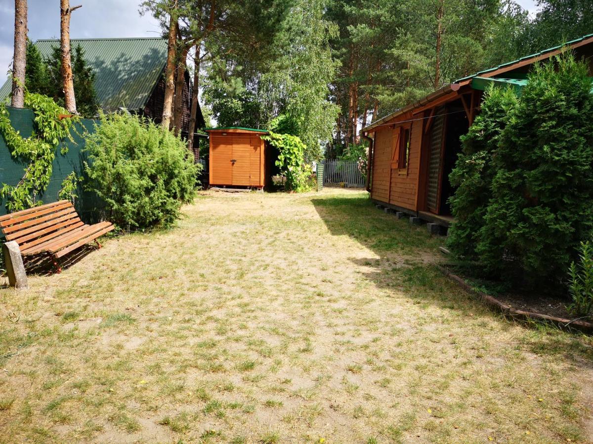 Domki Domek Na Jeziorem Wilczynskim Budzislawskim , Las, Osobno Ogrodzony 2-6 Osob- Klimatyzacja, Ogrzewanie, 62-550 Zygmuntowo Gm Wilczyn Exterior foto