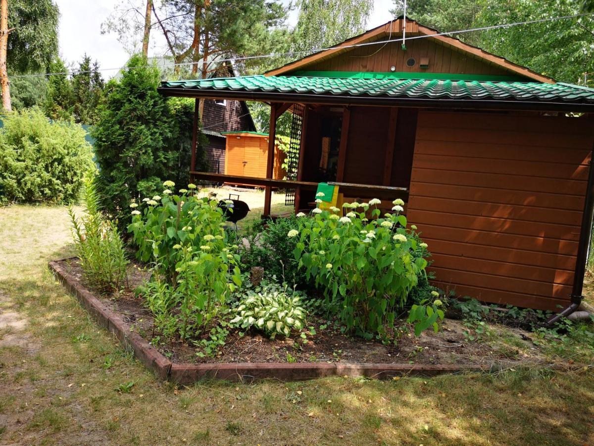 Domki Domek Na Jeziorem Wilczynskim Budzislawskim , Las, Osobno Ogrodzony 2-6 Osob- Klimatyzacja, Ogrzewanie, 62-550 Zygmuntowo Gm Wilczyn Exterior foto