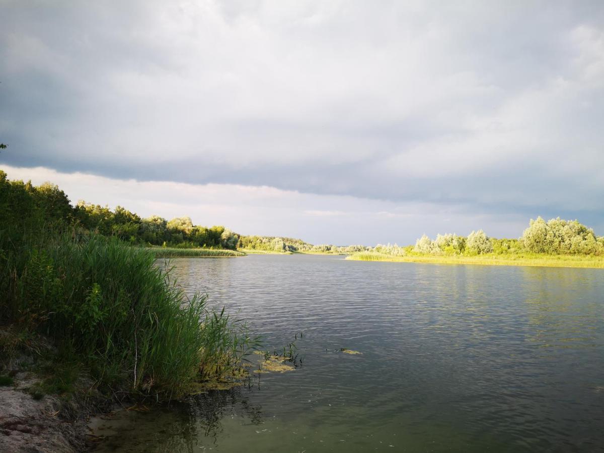 Domki Domek Na Jeziorem Wilczynskim Budzislawskim , Las, Osobno Ogrodzony 2-6 Osob- Klimatyzacja, Ogrzewanie, 62-550 Zygmuntowo Gm Wilczyn Exterior foto