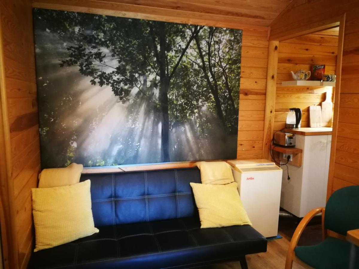 Domki Domek Na Jeziorem Wilczynskim Budzislawskim , Las, Osobno Ogrodzony 2-6 Osob- Klimatyzacja, Ogrzewanie, 62-550 Zygmuntowo Gm Wilczyn Exterior foto