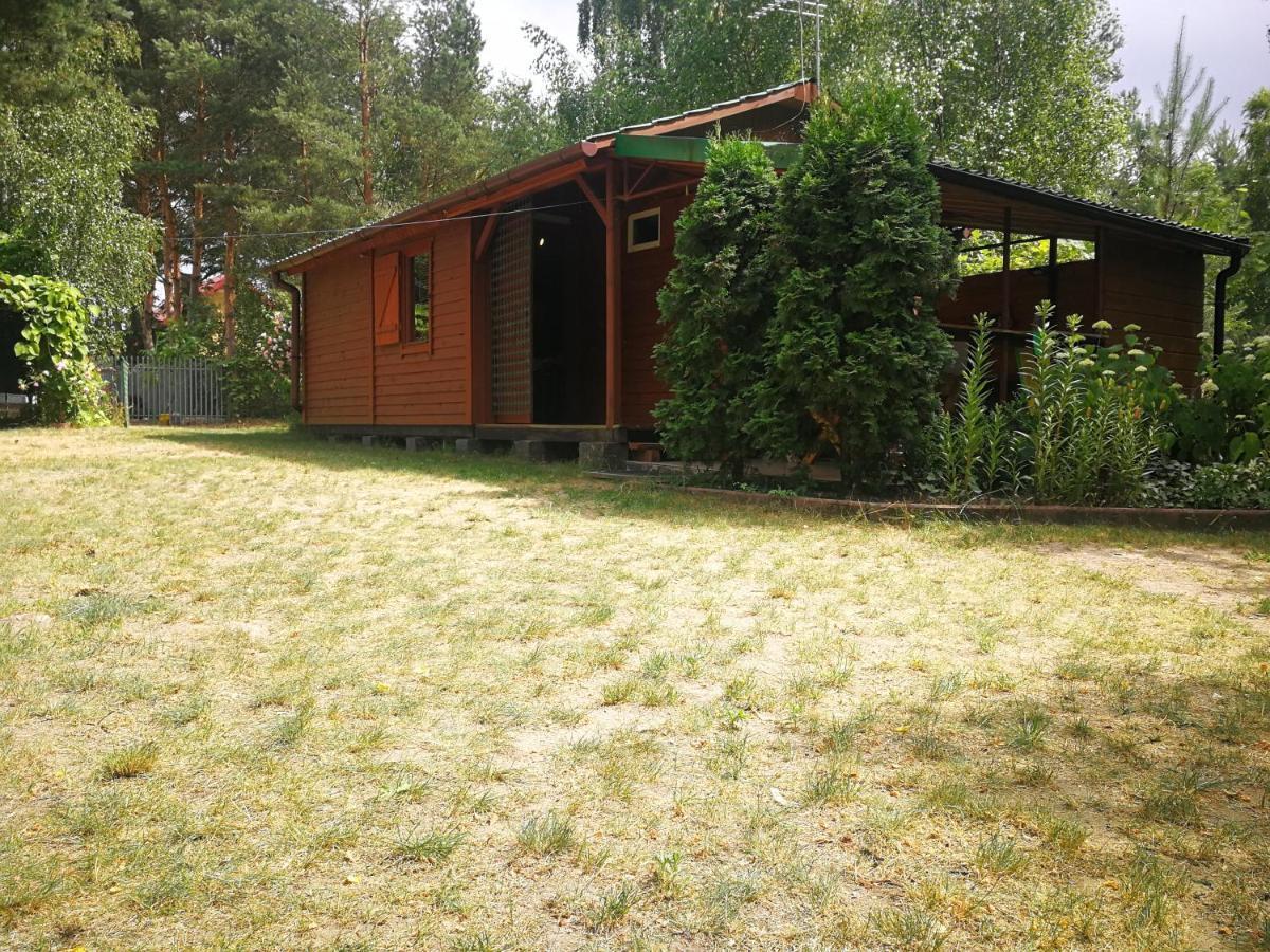 Domki Domek Na Jeziorem Wilczynskim Budzislawskim , Las, Osobno Ogrodzony 2-6 Osob- Klimatyzacja, Ogrzewanie, 62-550 Zygmuntowo Gm Wilczyn Exterior foto
