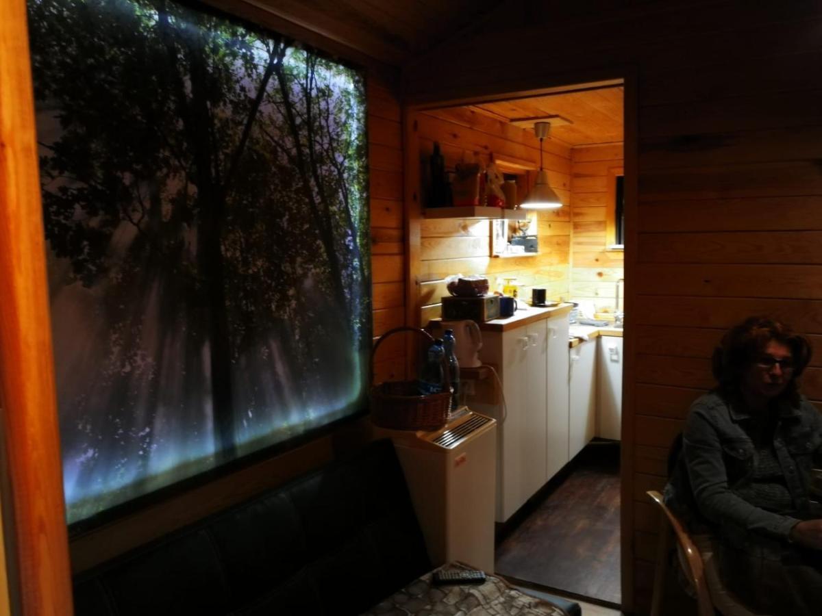 Domki Domek Na Jeziorem Wilczynskim Budzislawskim , Las, Osobno Ogrodzony 2-6 Osob- Klimatyzacja, Ogrzewanie, 62-550 Zygmuntowo Gm Wilczyn Exterior foto